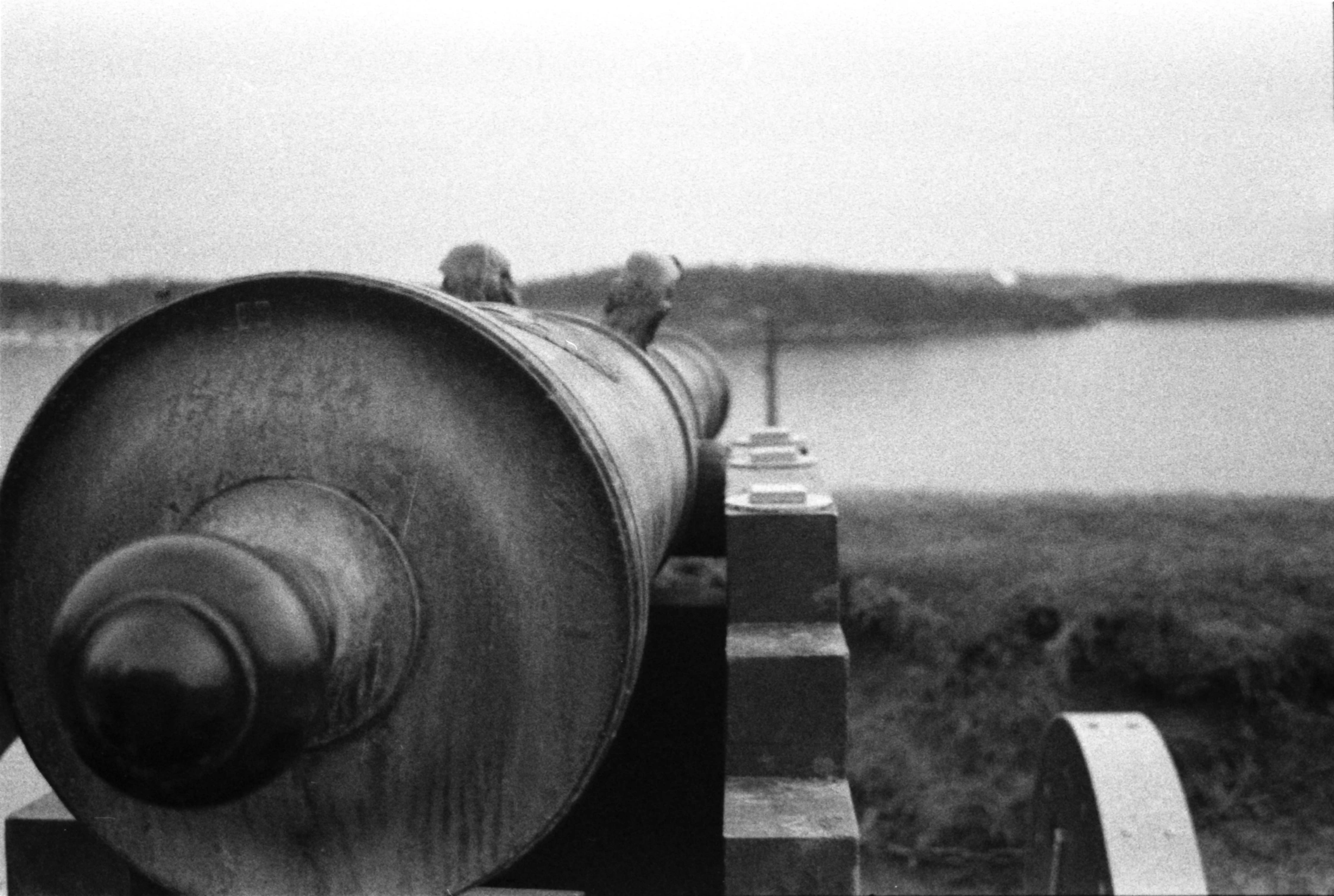Black and white picture of a cannon seen from the back