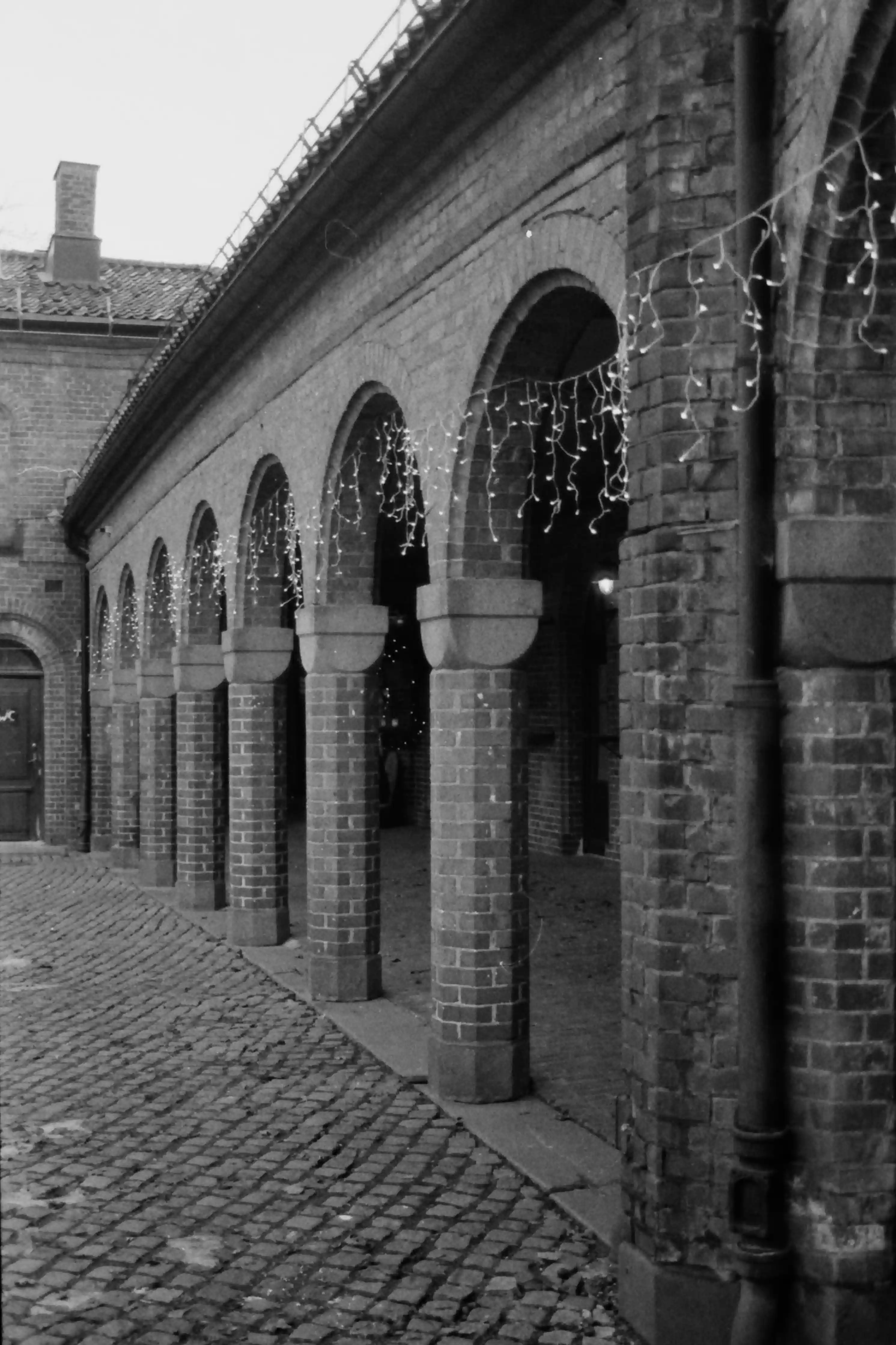 Black and white picture in portrait mode of some columns of an unknown stone building